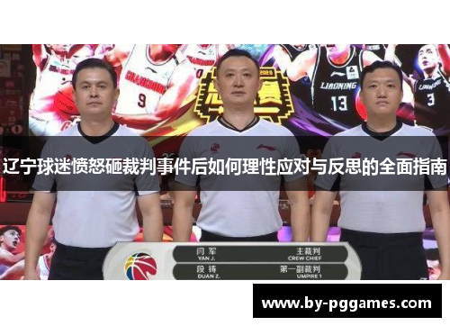 辽宁球迷愤怒砸裁判事件后如何理性应对与反思的全面指南 辽宁球迷愤怒砸裁判事件后如何理性应对与反思的全面指南